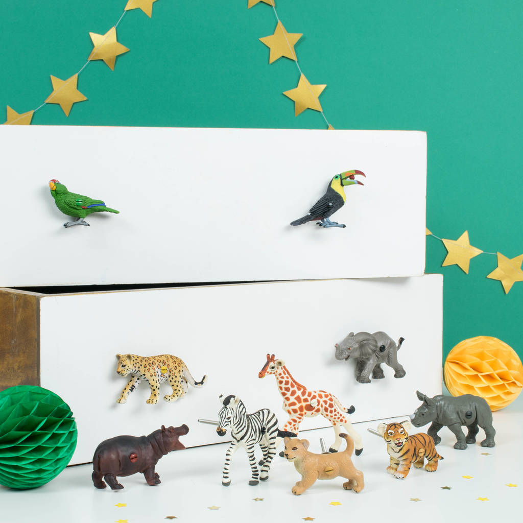 Animal Drawer Knobs Set Of 10 Safari Animals Candy Queen in proportions 1024 X 1024