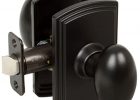 Delaney Italian Collection Canova Black Hallcloset Door Knob 364504 regarding sizing 1000 X 1000