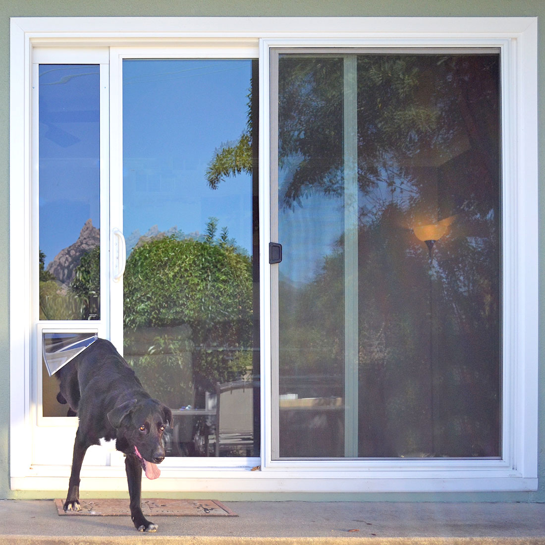 Sliding Door Dog Door Insert Ideal Fast Fit Patio Panel Pet Door for dimensions 1100 X 1100