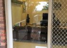 Small Pet Cat Flap Dog Door For Glass Security Door Security inside proportions 2259 X 3264
