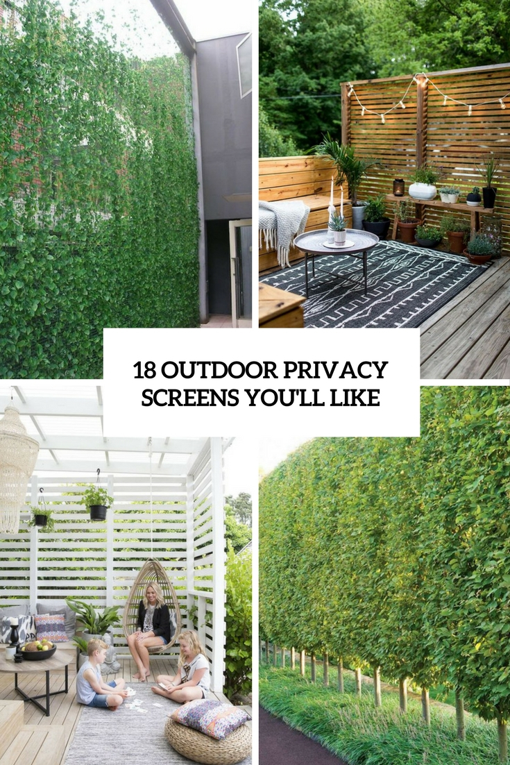 18 Outdoor Privacy Screens Youll Like Shelterness throughout sizing 735 X 1102