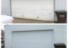 Absolute Overhead Door Service 22 Photos Garage Door Services throughout measurements 1000 X 1000