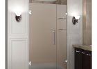 Aston Nautis Gs 38 In X 72 In Frameless Hinged Shower Door With throughout sizing 1000 X 1000