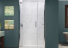 Bath Authority Dreamline Elegance Frameless Pivot Shower Door With in measurements 1000 X 1000