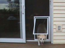 Best Screen Doggie Door Design Latest Porch Ideas within dimensions 973 X 852