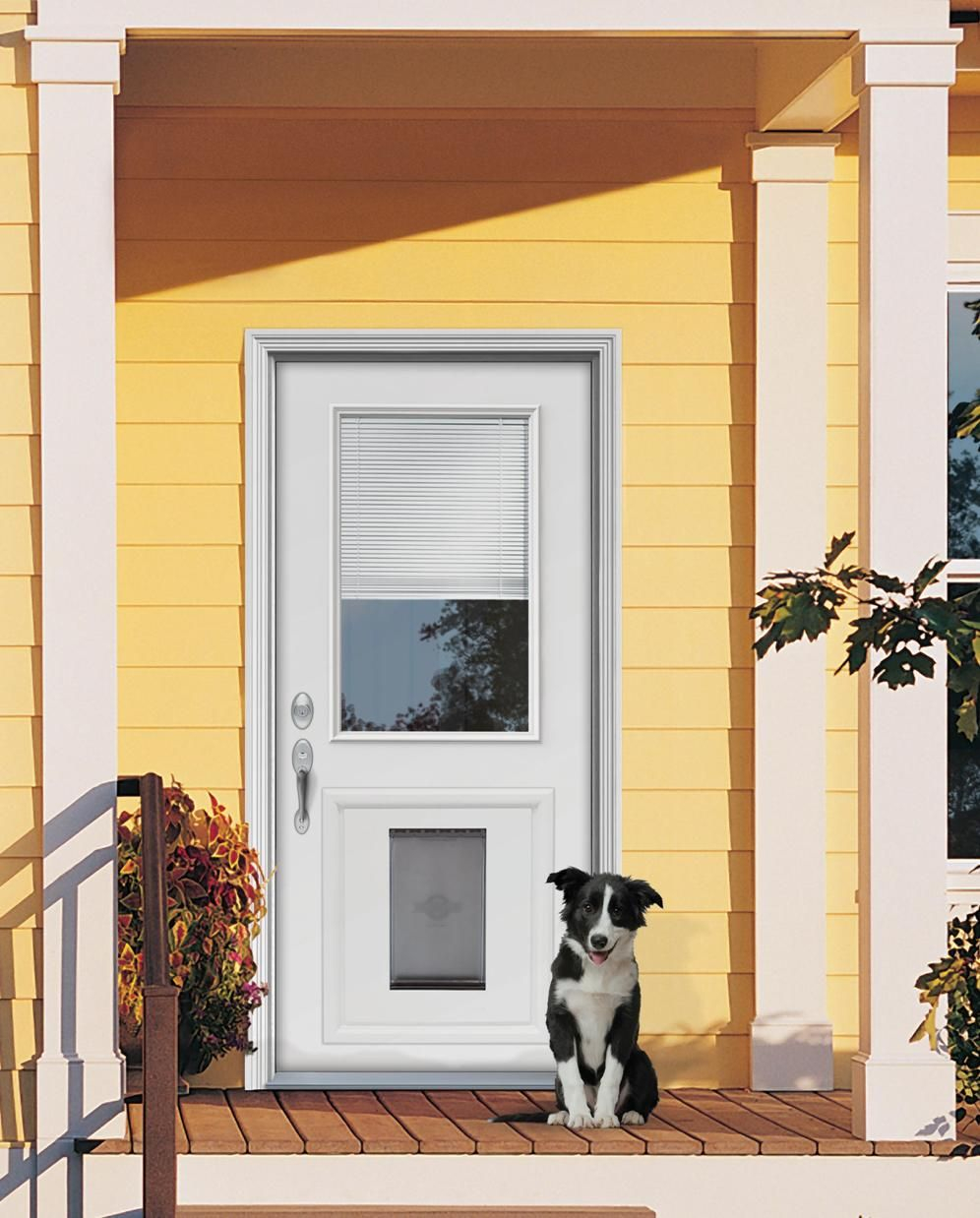 Custom Doors With Doggie Door Jeld Wen Steel And Fiberglass Doors regarding size 996 X 1238