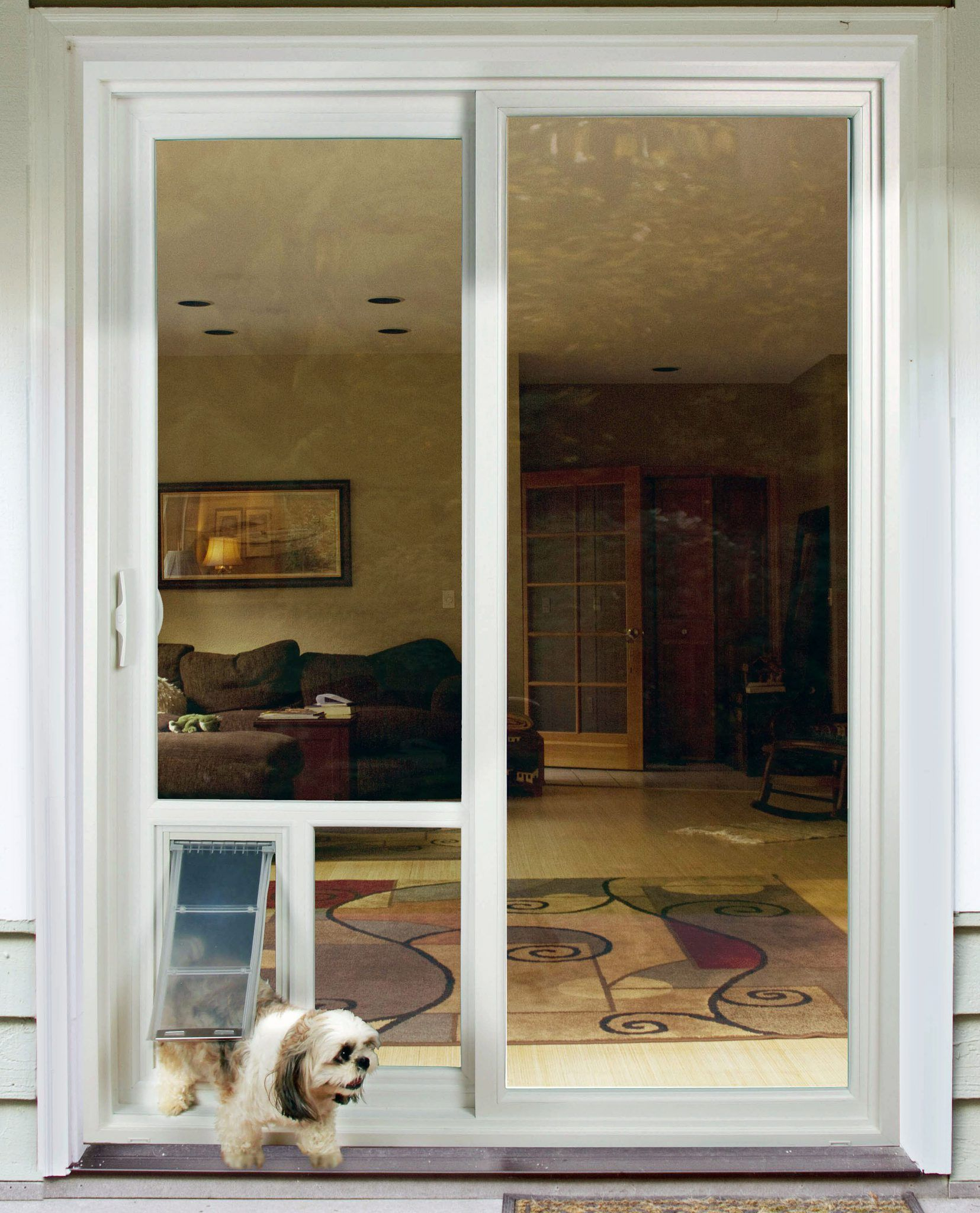 Door Pet Door Idea For Glass Door In Natural Wood Frame Door Within with regard to measurements 1655 X 2048