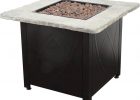 Endless Summer 30 In Propane Stainless Steel Fire Pit Table intended for dimensions 1000 X 1000