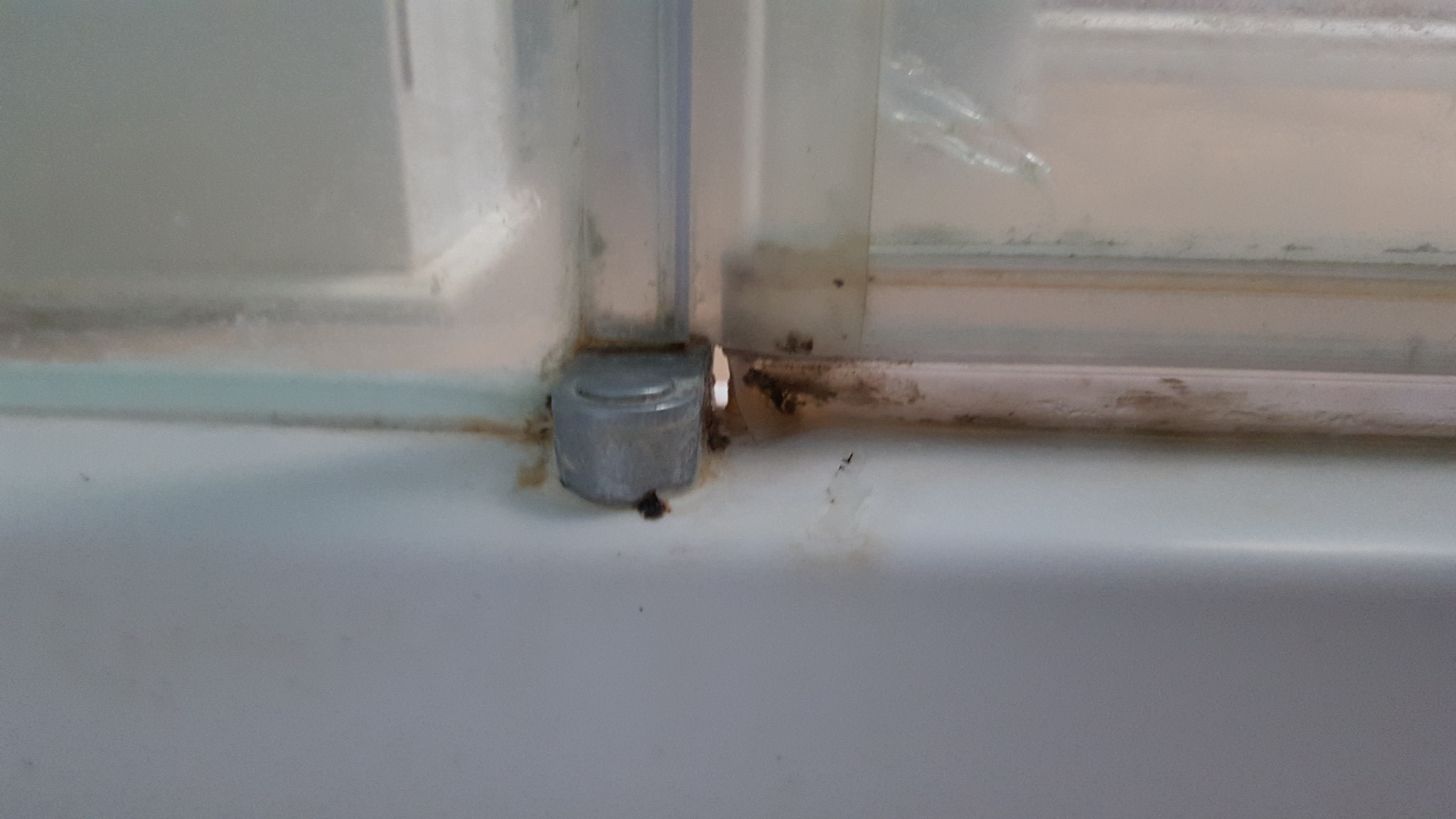 Fix Leak Between Seal And Shower Door Joint Home Improvement Stack within size 2048 X 1152