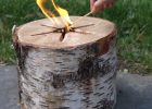 Light N Go Bonfire Log Essay Group pertaining to measurements 2736 X 2736