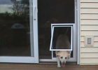 Mesmerizing Sliding Screen Door With Dog Door Built In Family intended for sizing 973 X 852