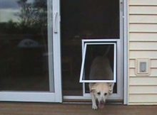 Mesmerizing Sliding Screen Door With Dog Door Built In Family intended for sizing 973 X 852