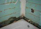Mold On Framing Of Bathroom Wall Remodeling Diy Chatroom Home in sizing 1152 X 864