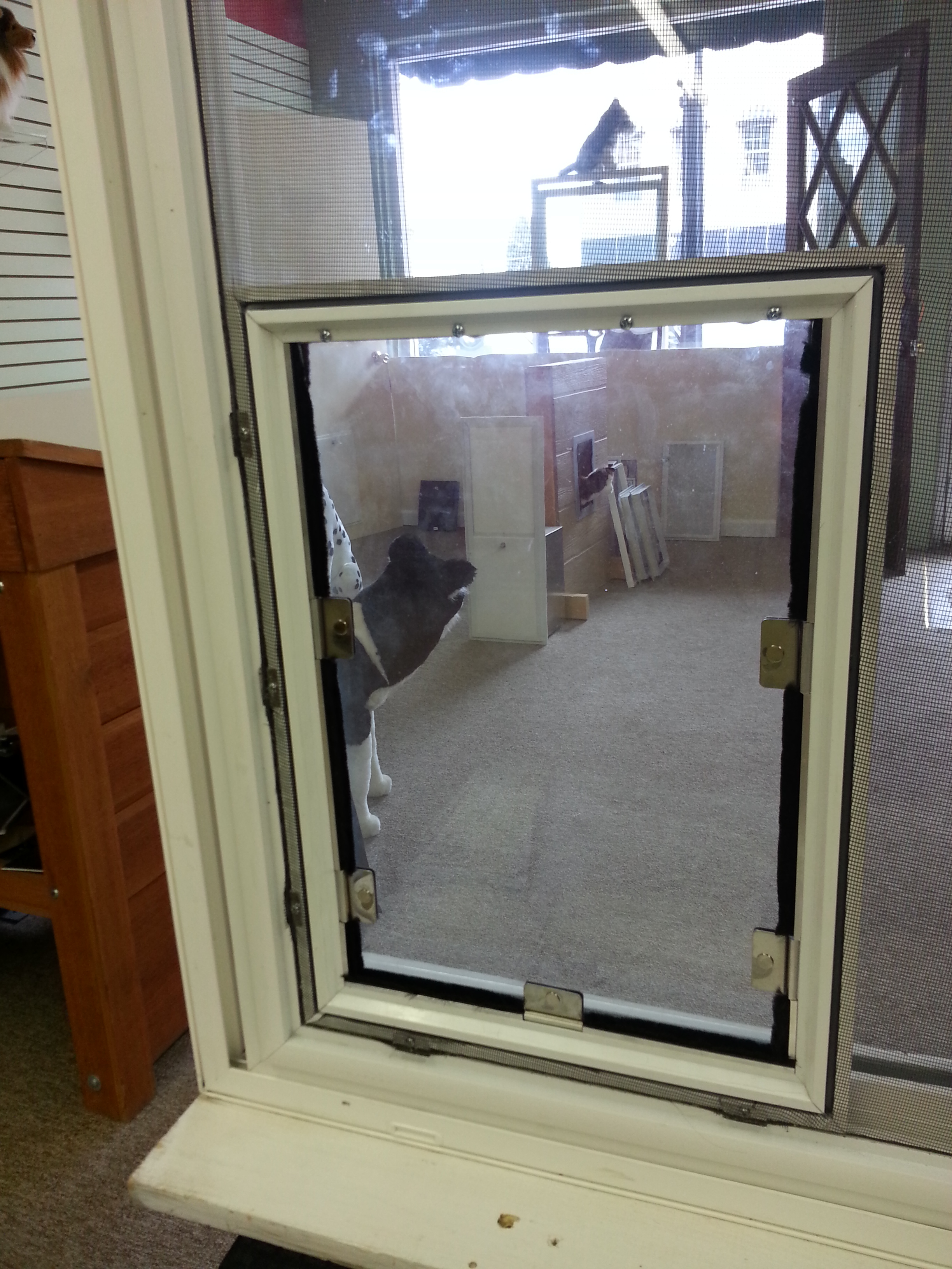 New Hale Screen Pet Door Model Fits All Screen Doors Hale Pet Door pertaining to dimensions 2448 X 3264