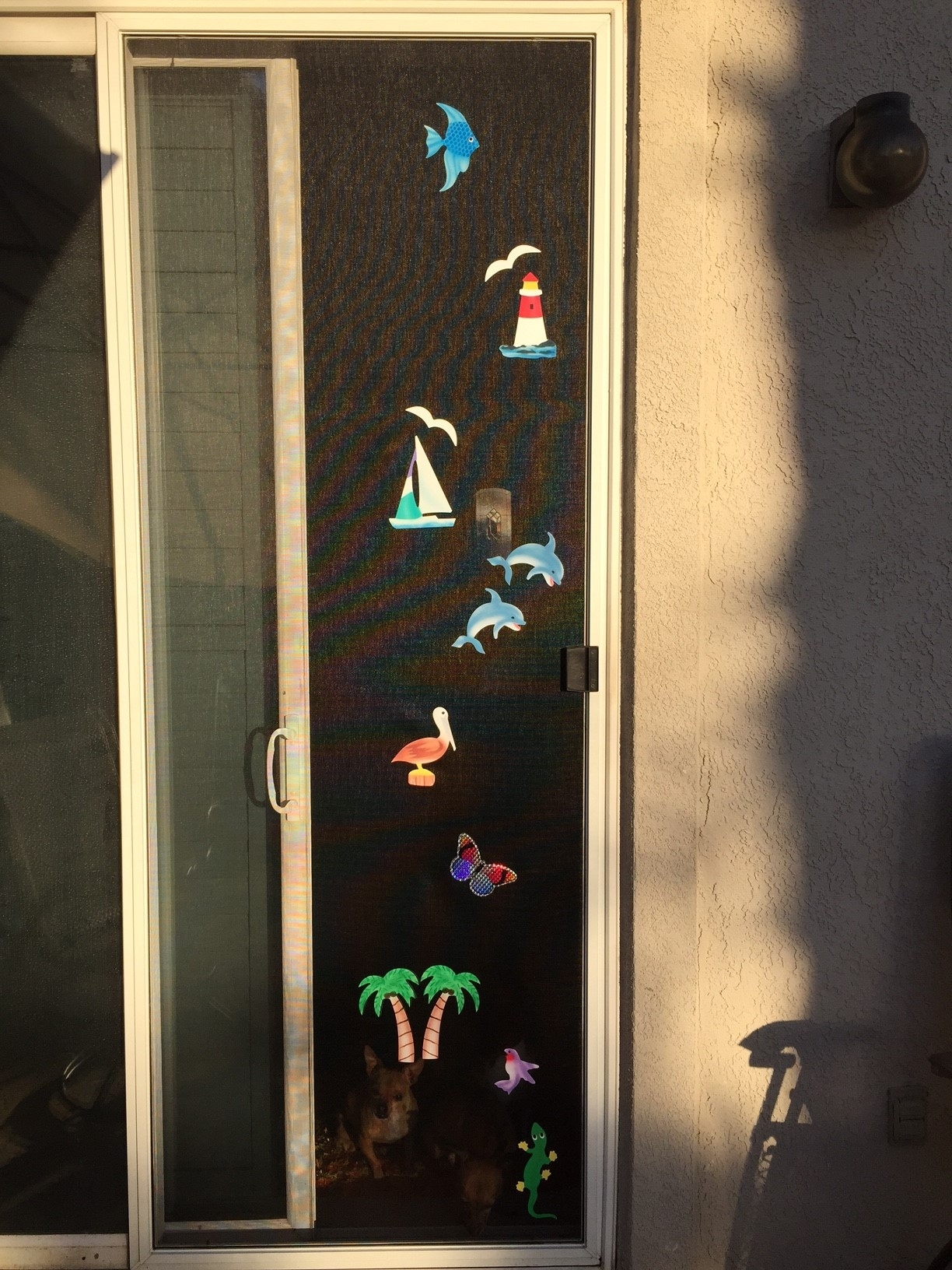 Palm Tree Retractable Screen Door Stickers Exterior Doors And within dimensions 1224 X 1632