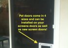 Pet Screen Doors Screen Door And Window Screen Repair And inside dimensions 1536 X 2048