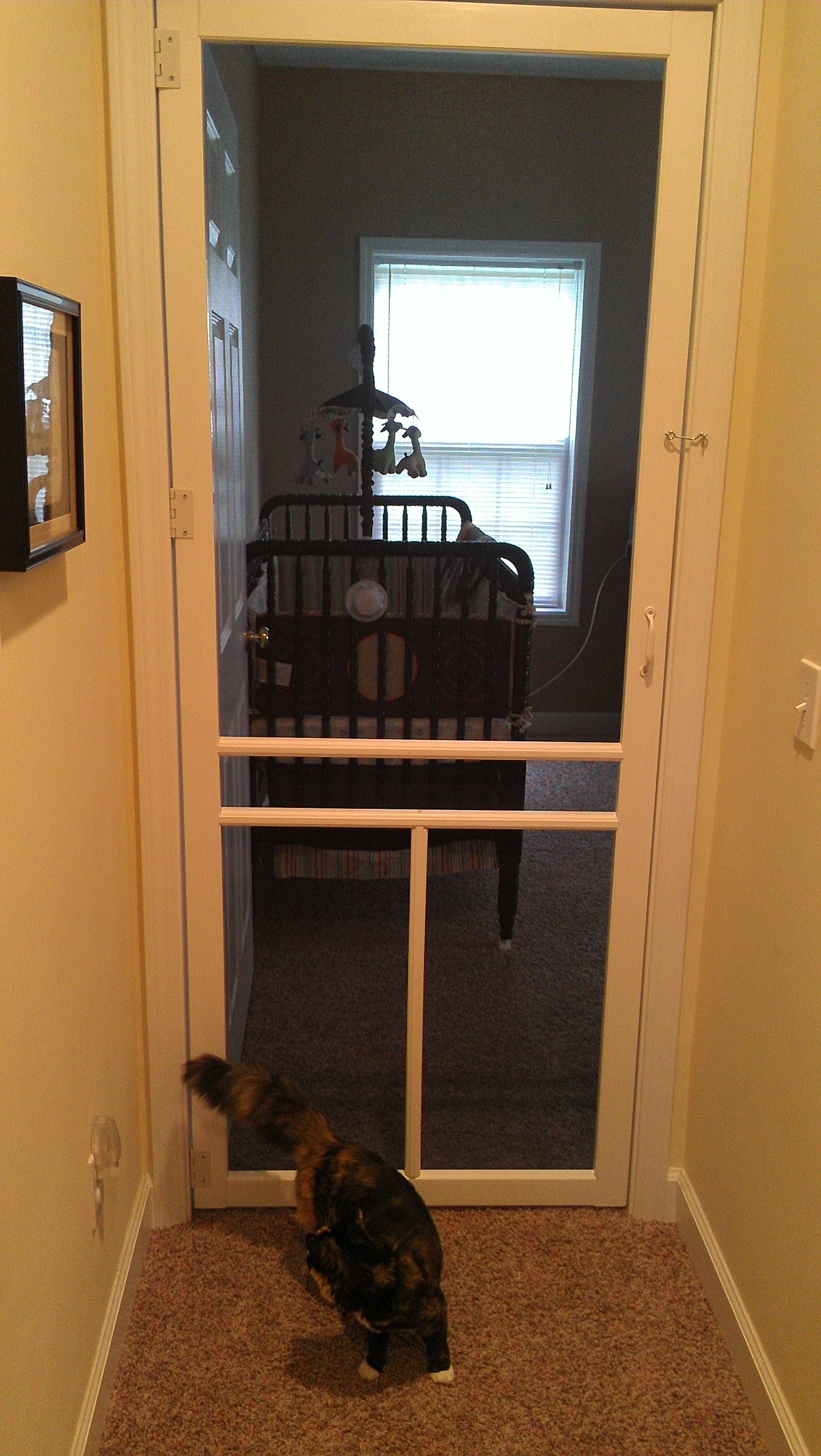 Screen Door On Babies Room So Cat Cannot Enter But We Can Still Hear pertaining to measurements 1840 X 3264