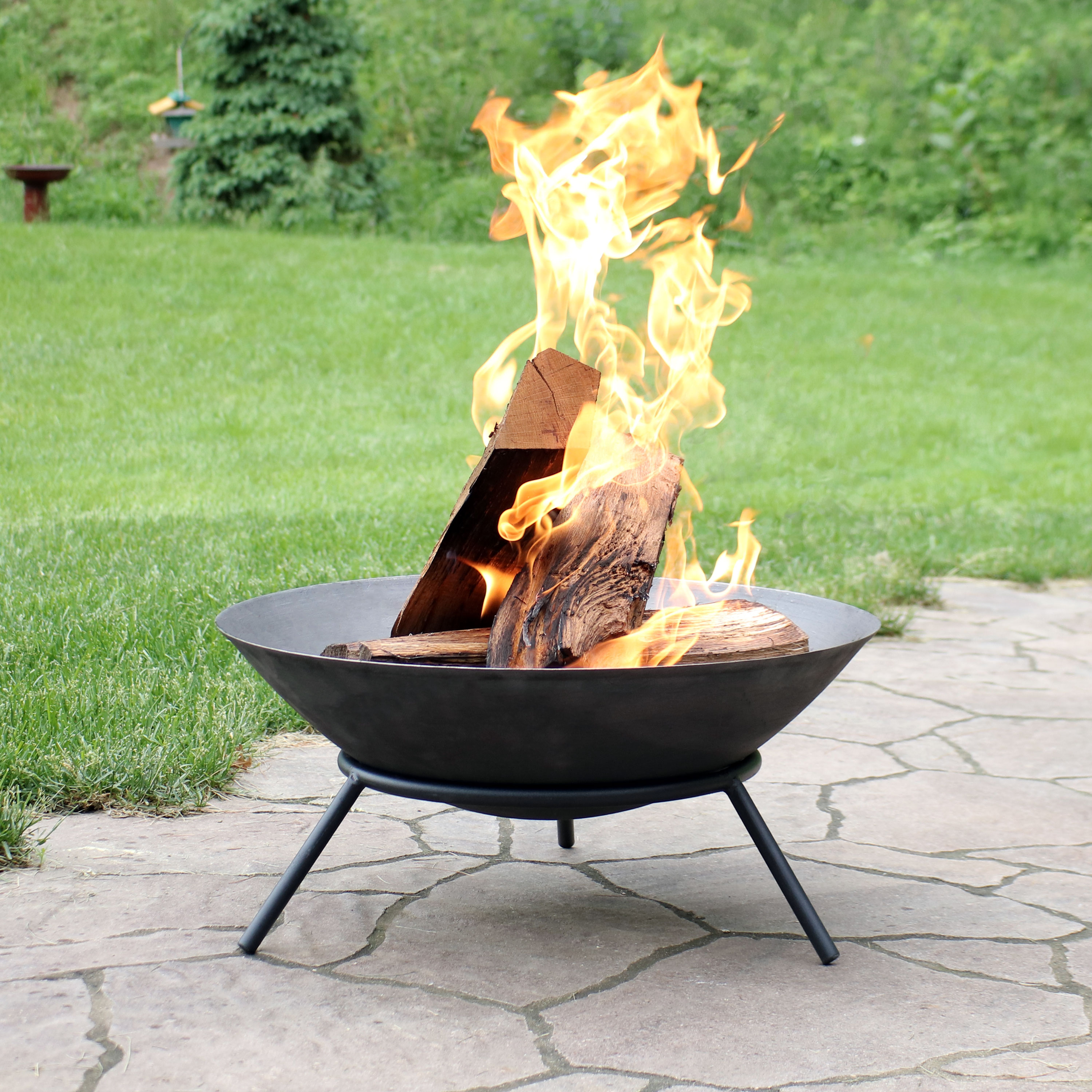 Sunnydaze Raised Portable Fire Pit Bowl Small Round Outdoor Wood with proportions 3000 X 3000