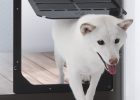 Takara Industry Pet Dog Door For Screens Mediumlarge Animals within size 1615 X 1756