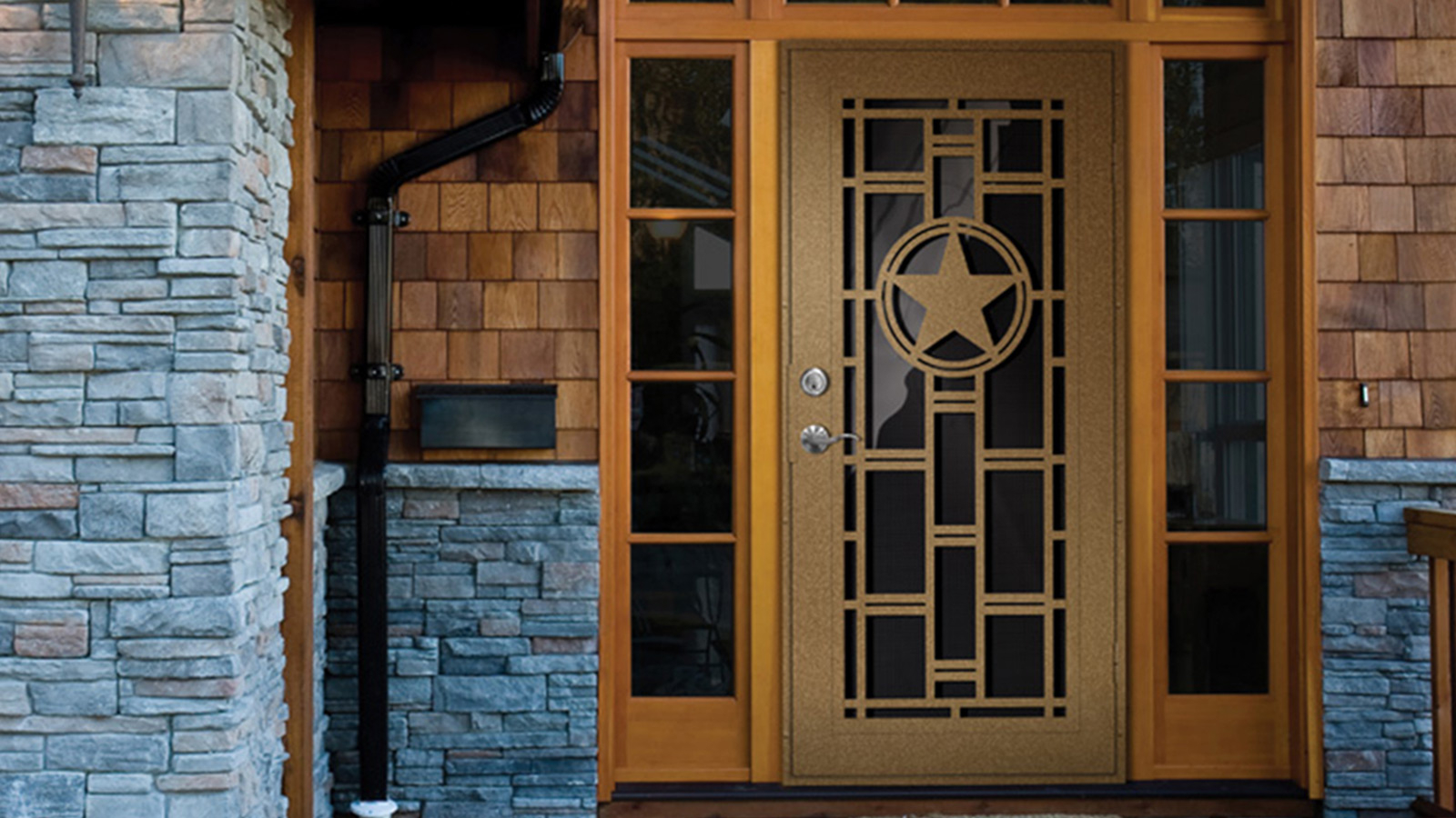 Unique Home Designs Security Doors Screen Doors And Window Guards throughout measurements 1600 X 900